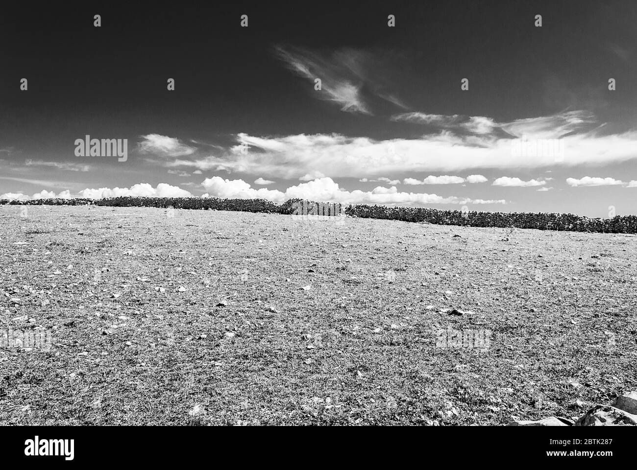Paesaggio rurale della campagna della Sicilia del Sud-Est in piena primavera, muretti a secco, ulivi e carrubi e balle di fieno. Foto Stock