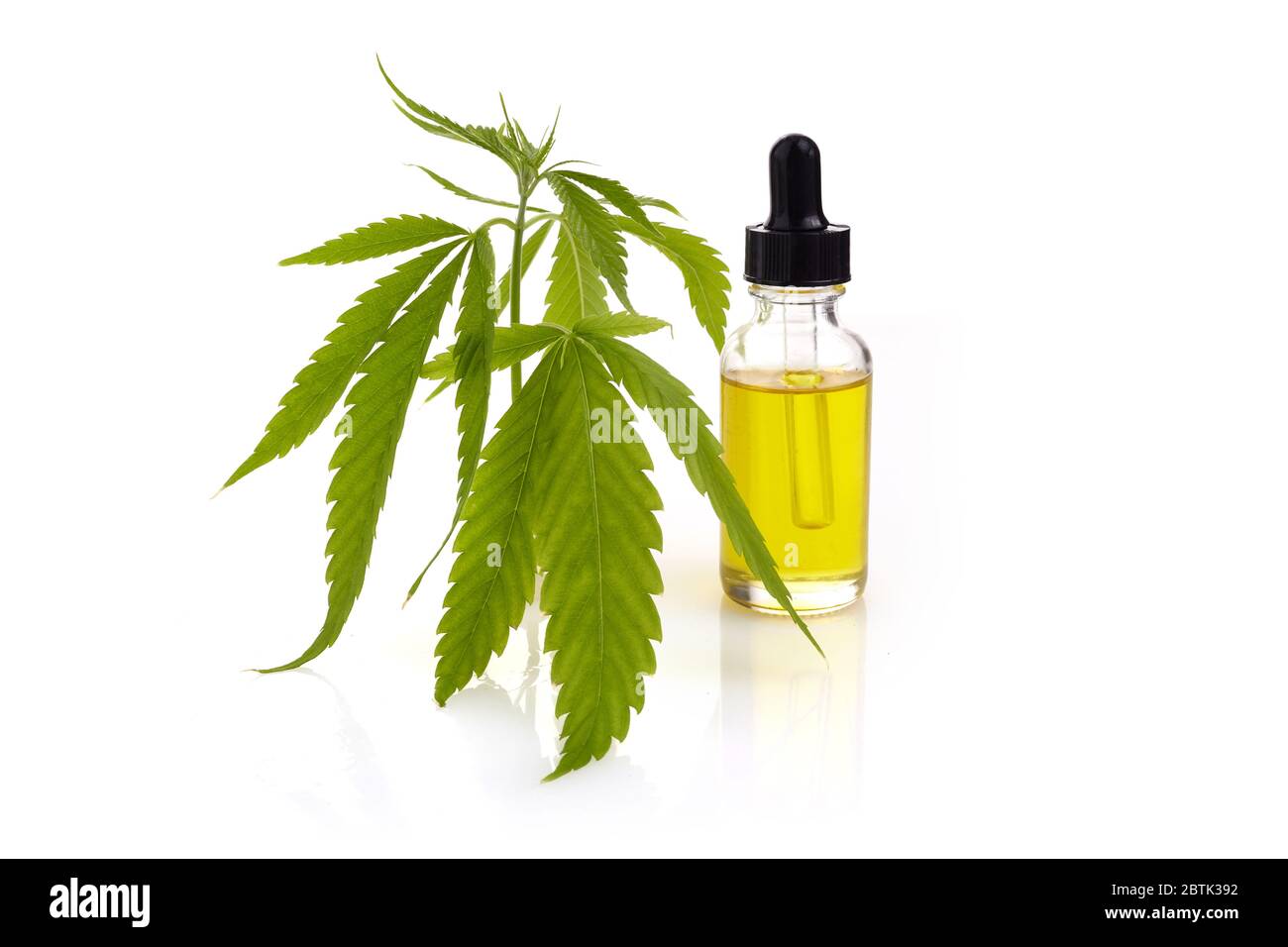 Olio del CBD, estratto di cannabis. Marijuana medica, olio di canapa in bottiglia. Foto Stock