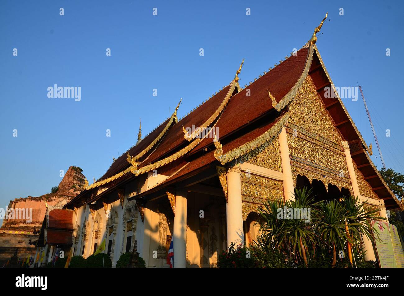 Wat Phan Tao in Chiang Mai Foto Stock