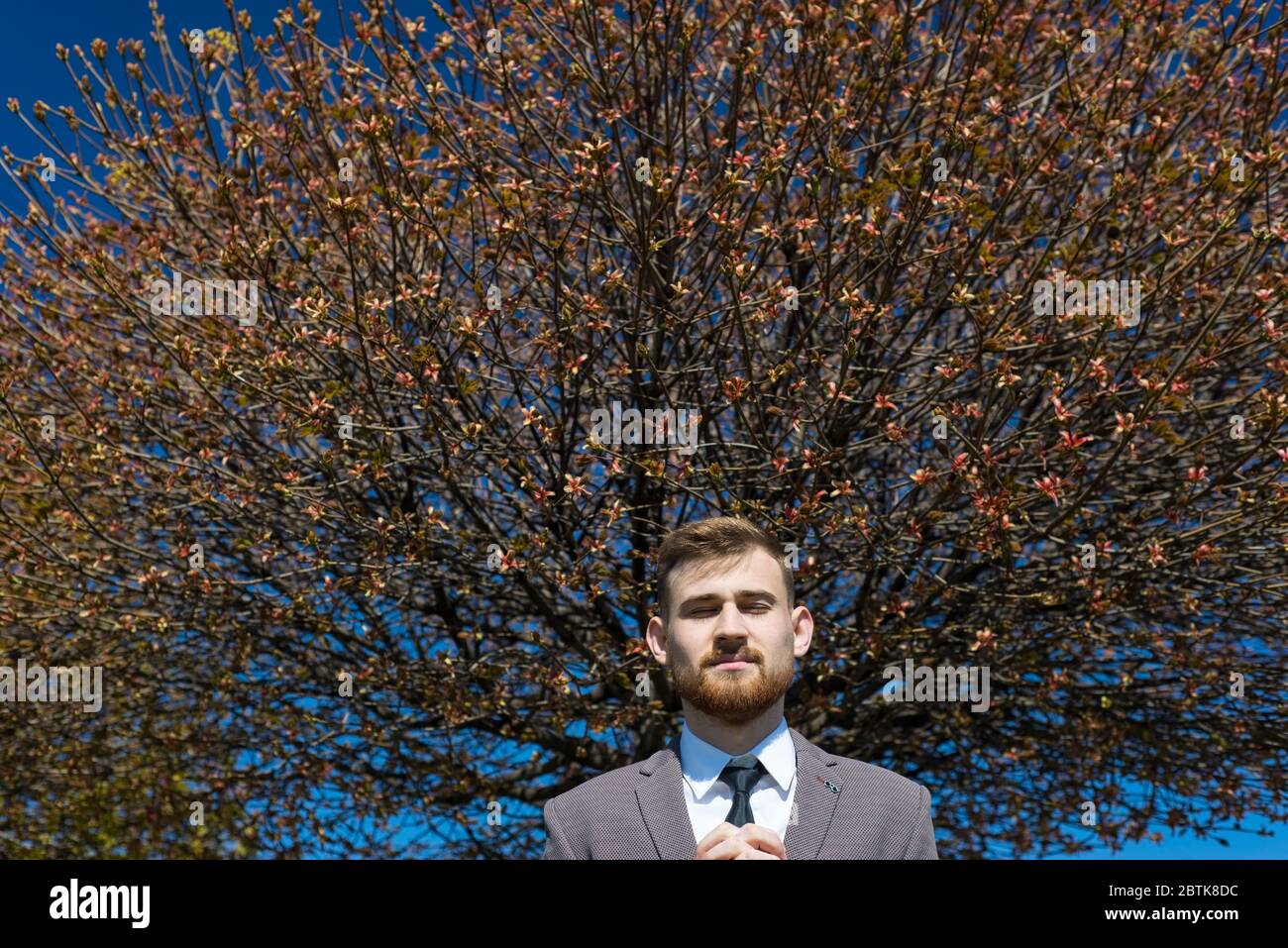 Ritratto di un giovane bearded con occhi chiusi, dalla cui testa cresce un albero all'aria aperta. Nella tonificazione artistica creativa. Concetto di business. Molla pho Foto Stock