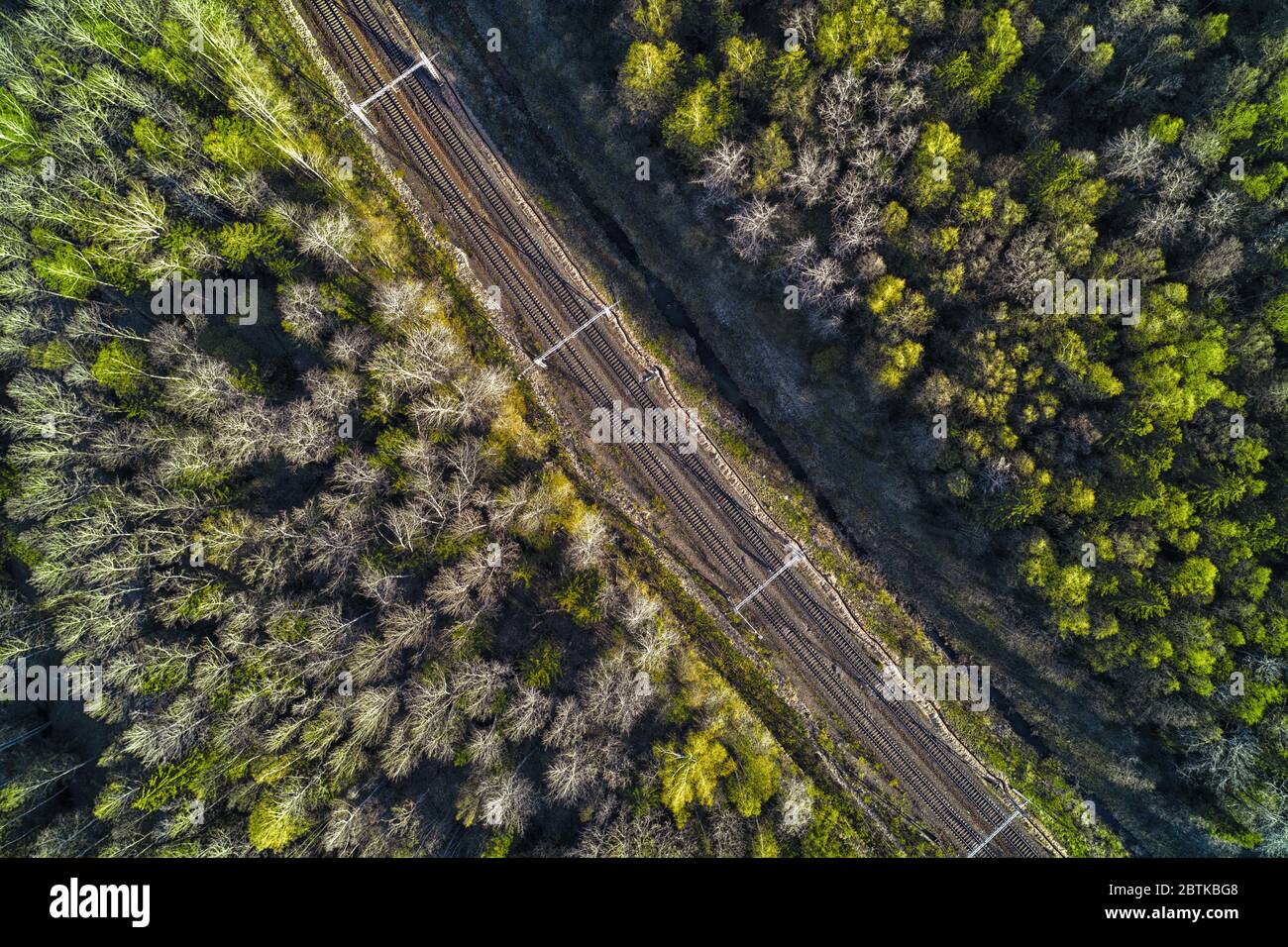 Ferrovia in foresta scura e profonda. Vista dall'alto Foto Stock