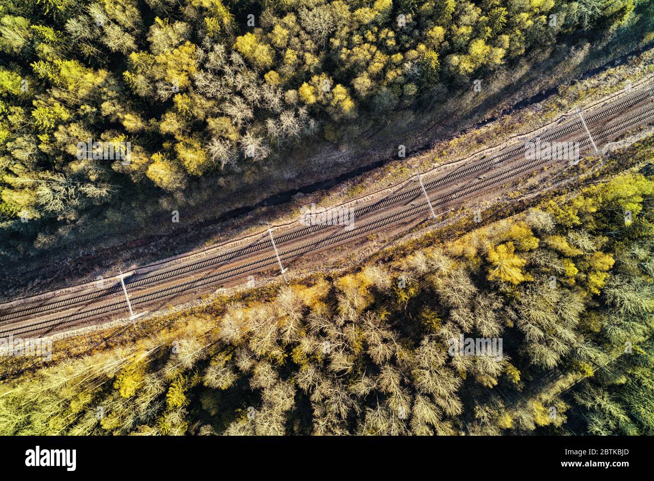Ferrovia in foresta scura e profonda. Vista dall'alto Foto Stock