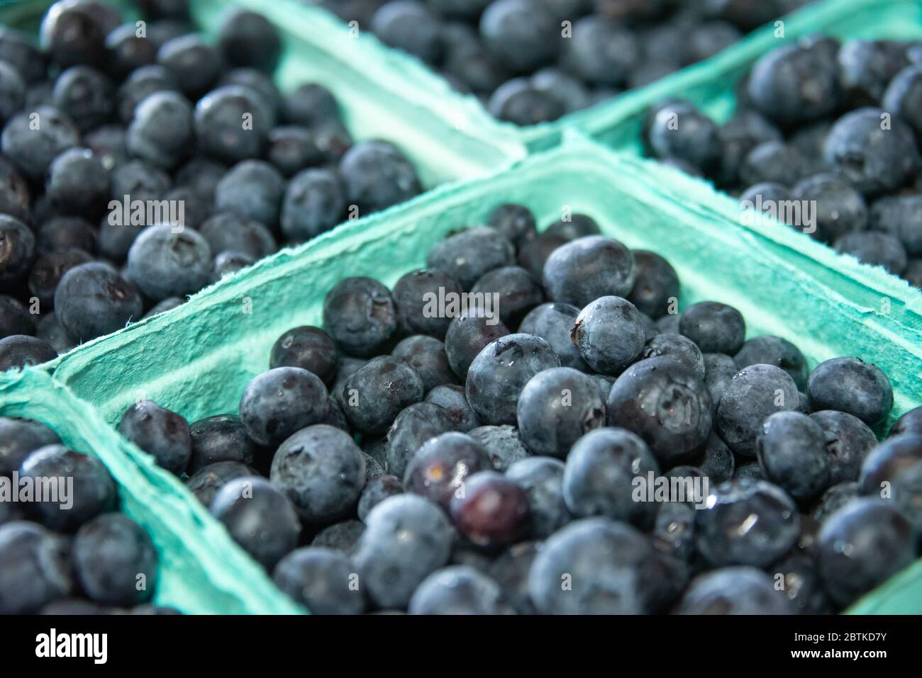 Mirtilli freschi in un mercato di frutta e verdura sul lato della strada nella Georgia nordorientale. (STATI UNITI) Foto Stock