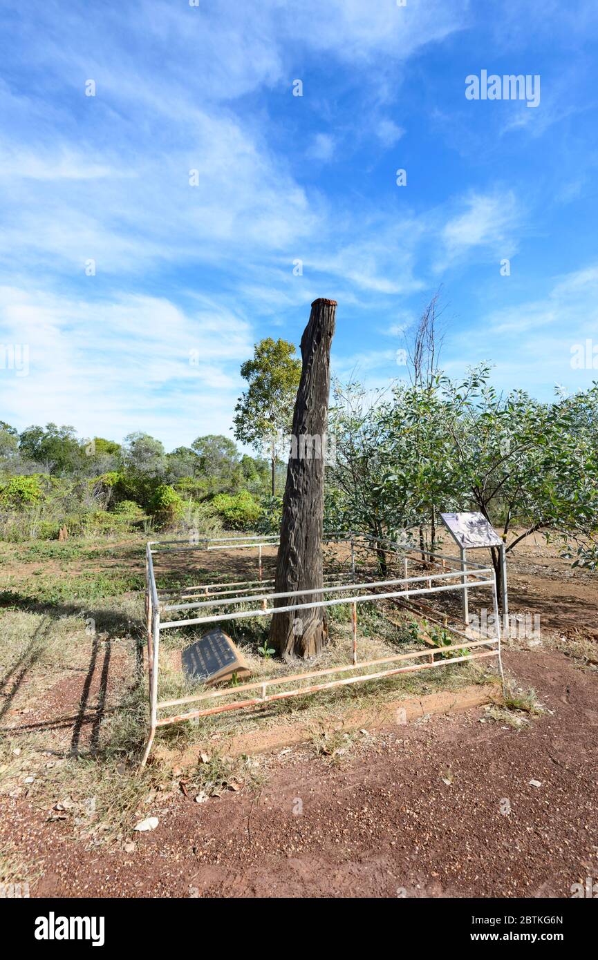 L'esploratore John McDouall Stuart si presume abbia scolpito LA 'S' iniziale su questo albero, Daly Waters, Northern Territory, NT, Australia Foto Stock