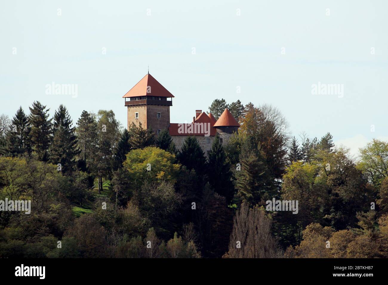 Alti alberi fitti di foresta nascondono e proteggono il vecchio castello medievale con tetto recentemente rinnovato sulla cima di una piccola collina su un cielo blu chiaro sfondo Foto Stock