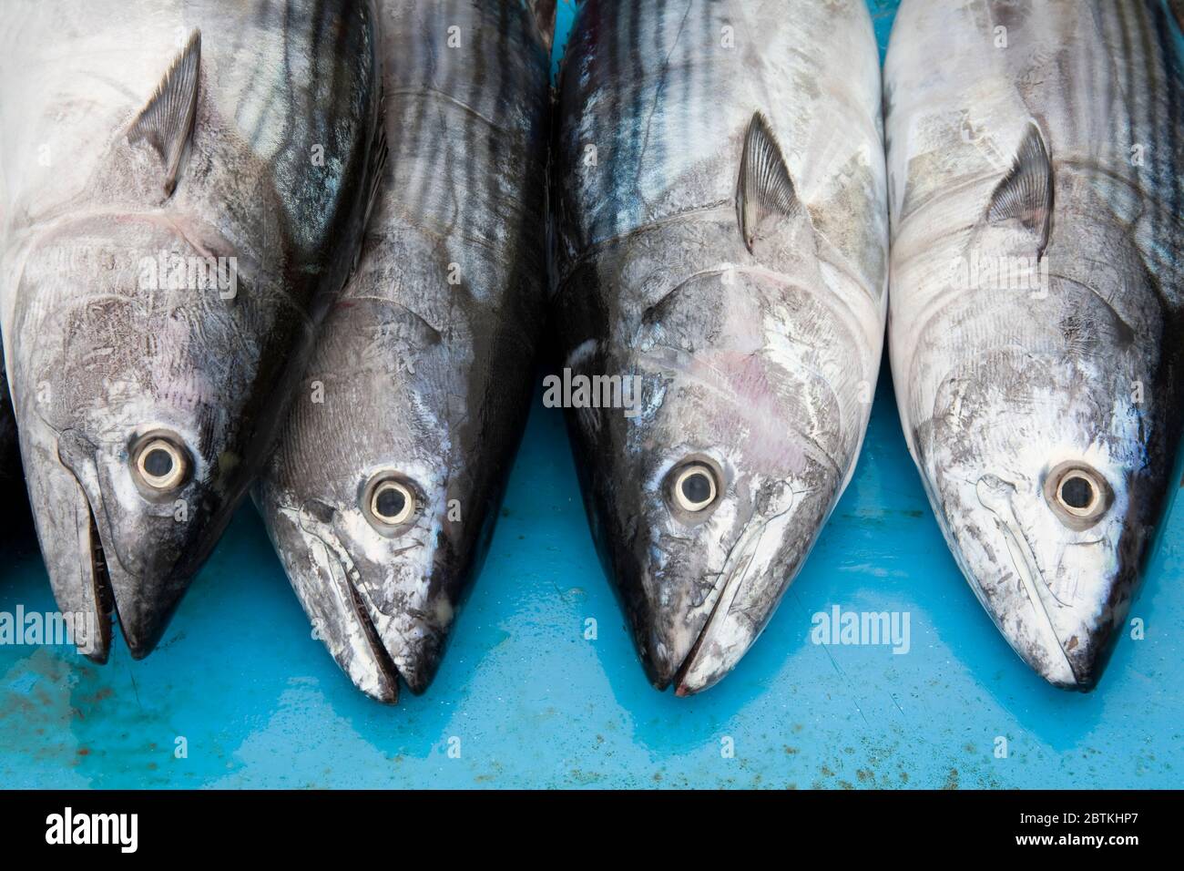 Mercato del pesce sulla spiaggia di Tarqui, Città di Manta, Ecuador, Sud America Foto Stock