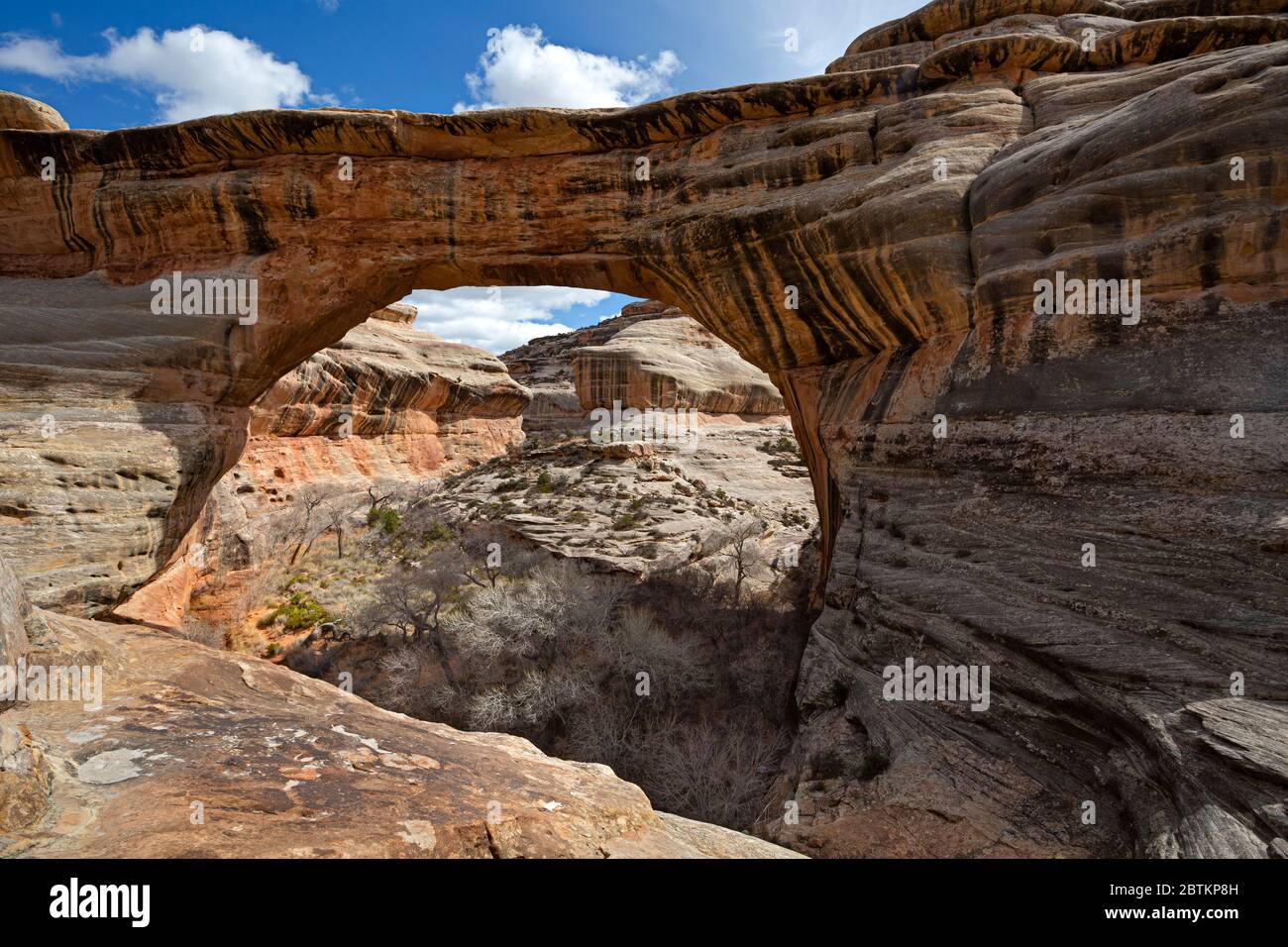 UT00646-00...UTAH - Ponte Sipaju nel White Canyon al Natural Bridges National Monument. Foto Stock