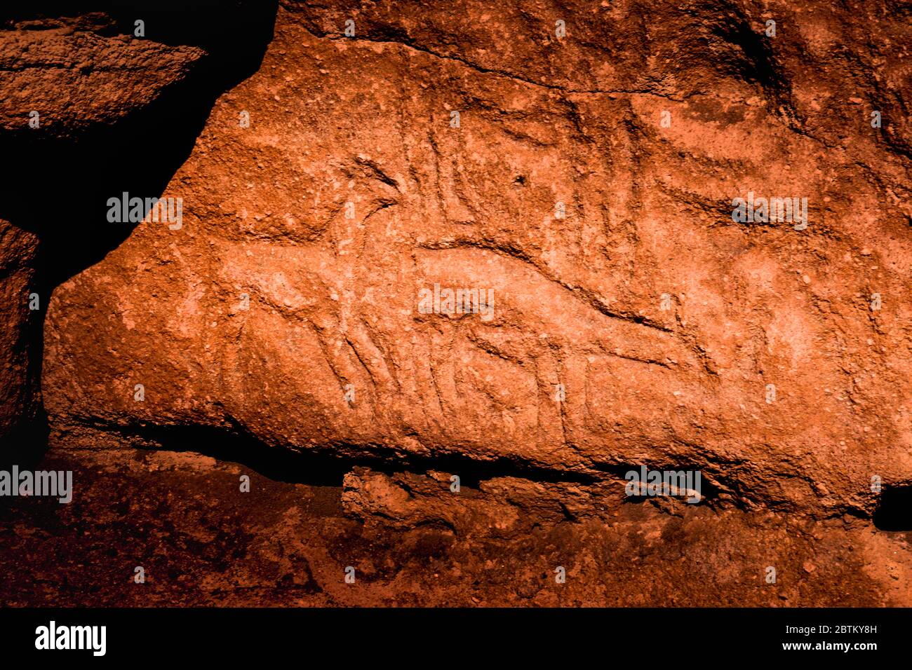 Petroglifi del sito archeologico di Yerbas Buenas, Rio Grande, San Pedro de Atacama, Antofagasta Regione, Cile Foto Stock