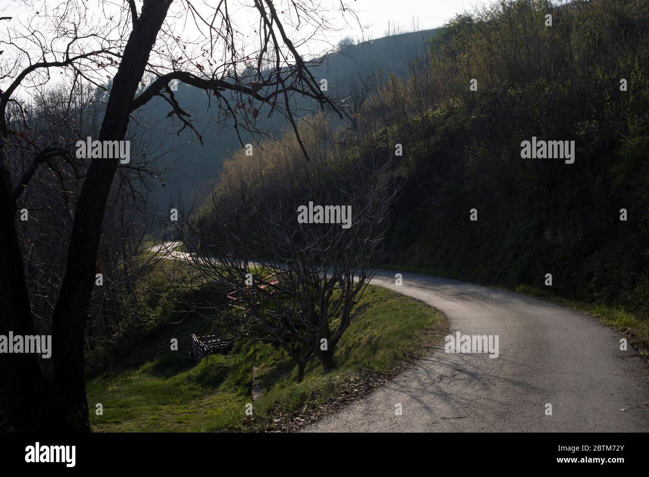 Strada secondaria in provincia di Cassinasco, Langhe, Piemonte, Italia Foto Stock