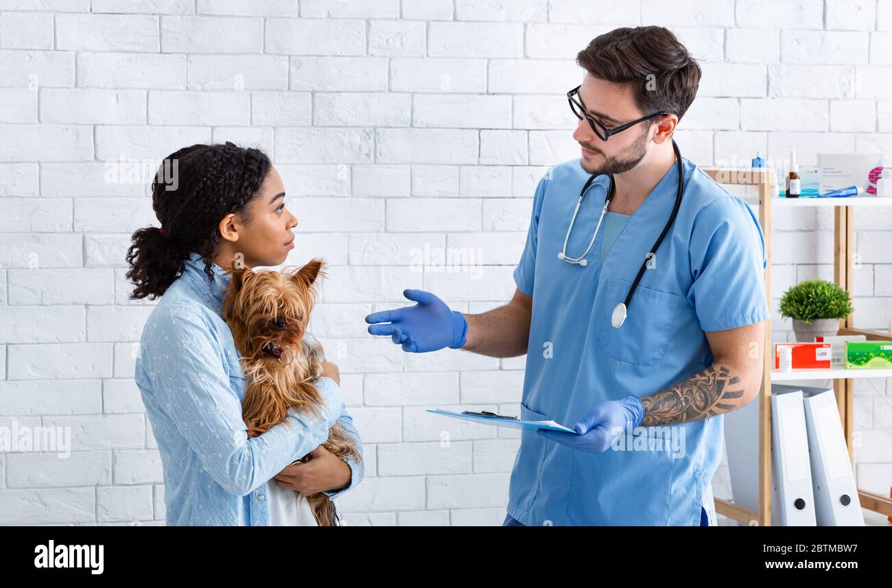 Medico veterinario esperto che parla con il cliente in ufficio medico Foto Stock