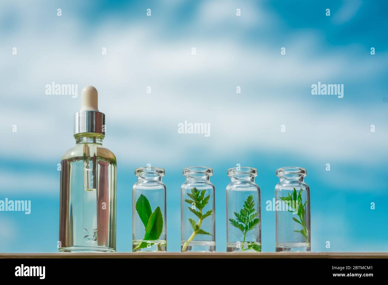 Olio omeopatico, siero e bottiglie con piante su fondo blu Foto Stock