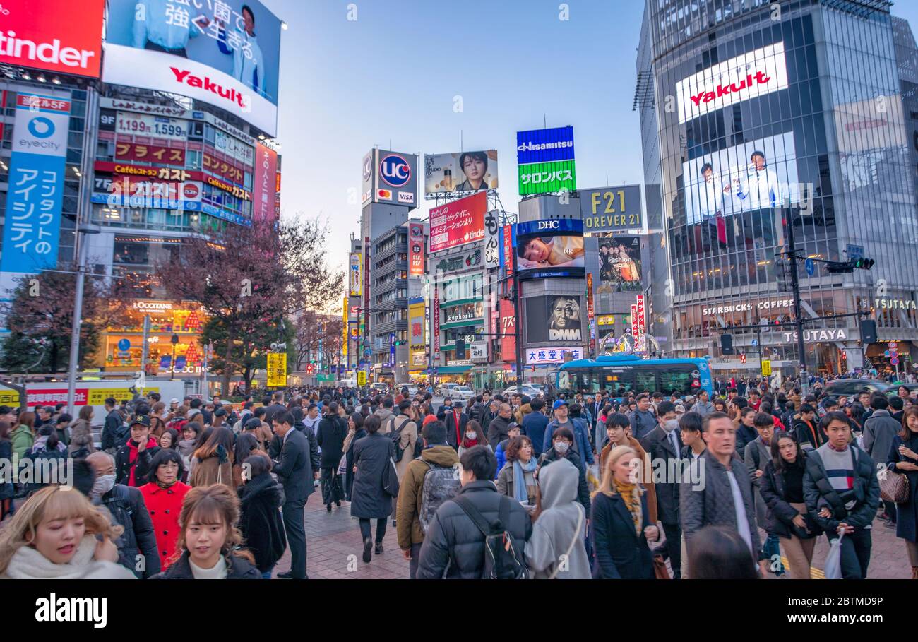 Giappone, Tokyo City, Shibuya City Hachiko Crossing Foto Stock