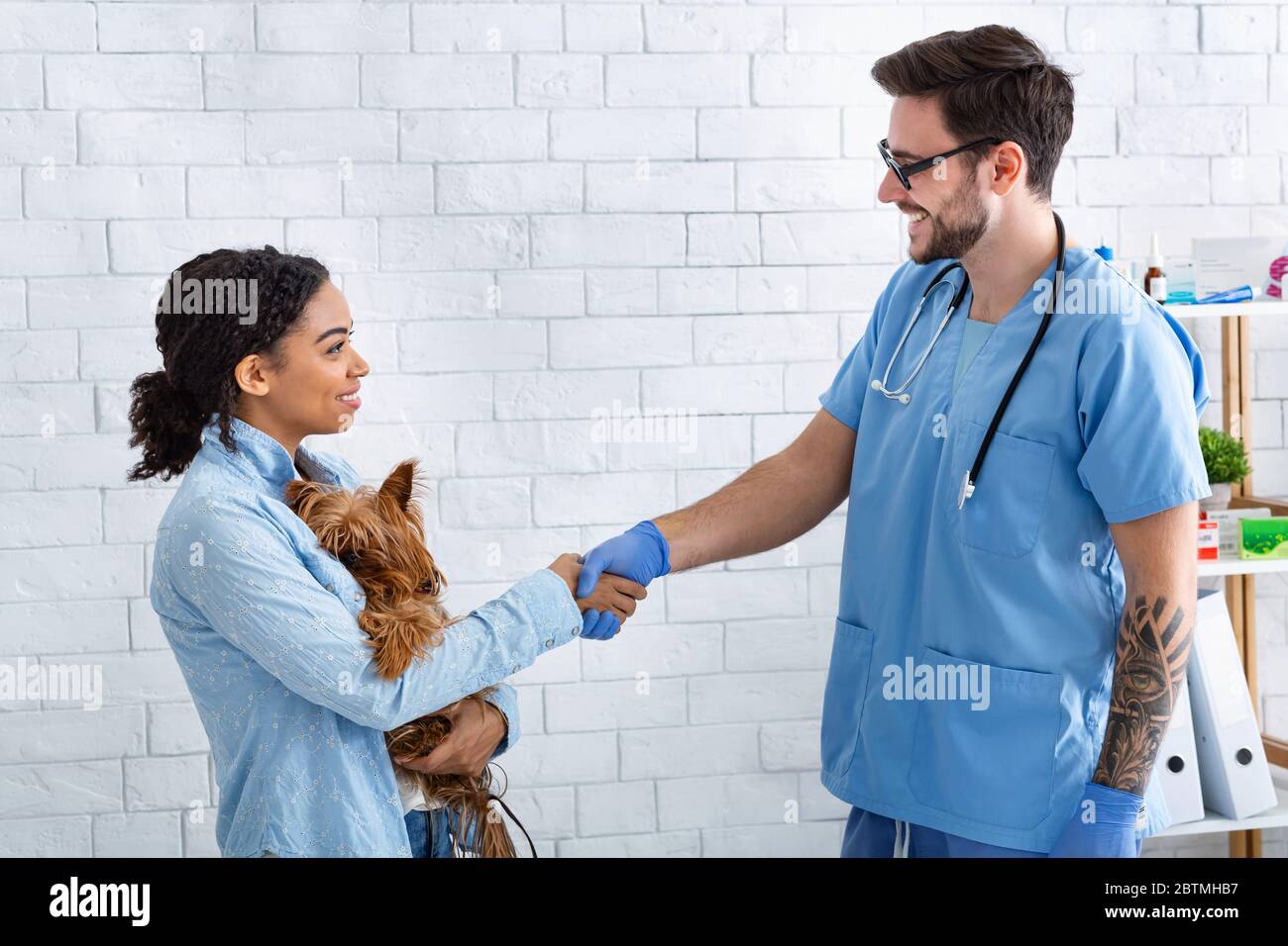 Vet medico e proprietario di animali domestici scuotendo le mani in ufficio medico Foto Stock