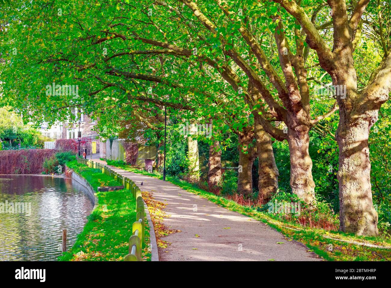 Sentiero a piedi lato stagno a Hampstead Heath a Londra Foto Stock
