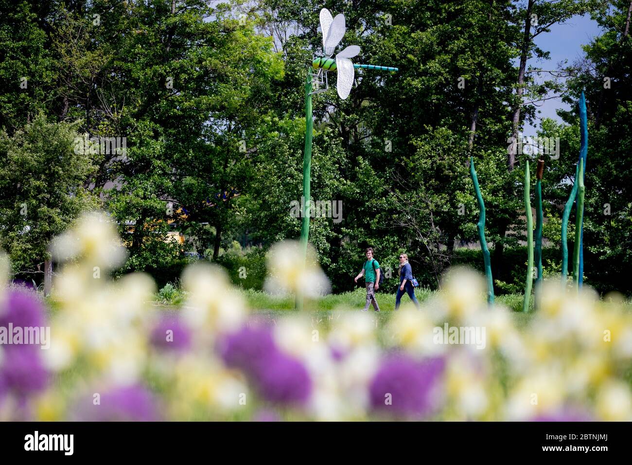 Wittstock, Germania. 27 maggio 2020. Sabine e Günter camminano dietro fiori in fiore e oltrepassano una gigantesca libellula nel parco del Landesgartenschau (Laga) a Wittstock/Dosse. Credit: Christoph Soeder/dpa/Alamy Live News Foto Stock