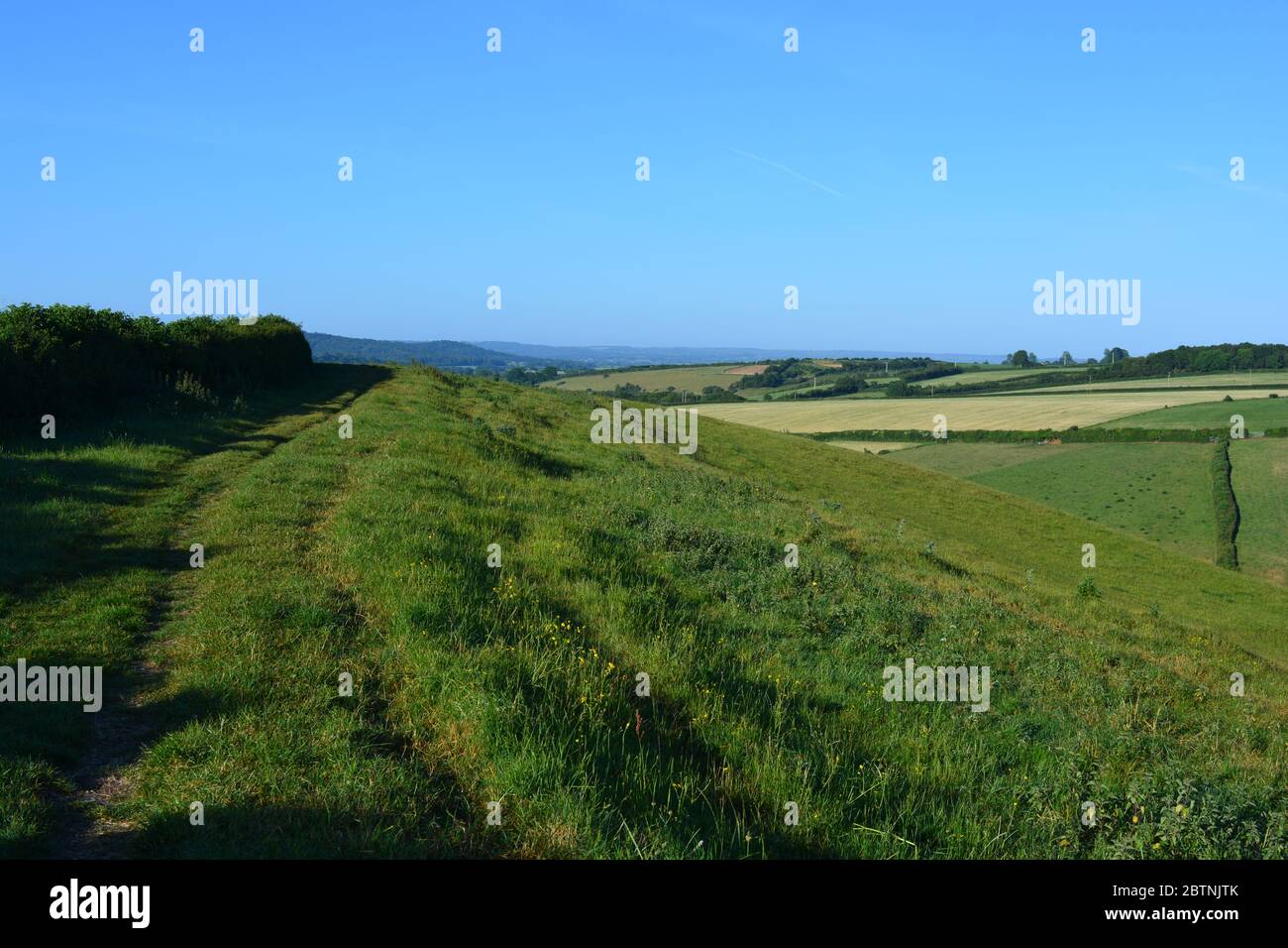 Paesaggio rurale in estate, vista di mattina presto dalla pista di Donkey Lane tra Oborne e Poyntington, Sherborne, Dorset, Inghilterra Foto Stock