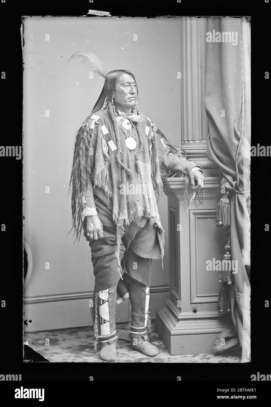 Orso magro. Foto Stock