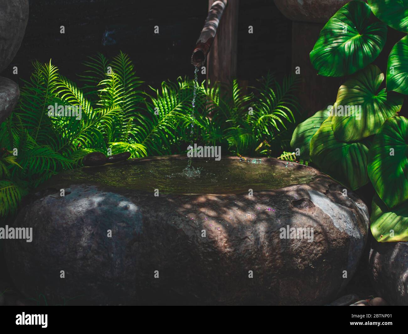 Fontane d'acqua TSUKUBAI, decorazioni naturali giapponesi tradizionali idee movimento arredo giardino. Foto Stock