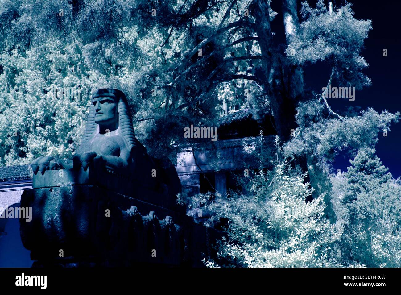 immagine a infrarossi - monumento della sfinge - cimitero di sihlfeld - città di zurigo - svizzera Foto Stock