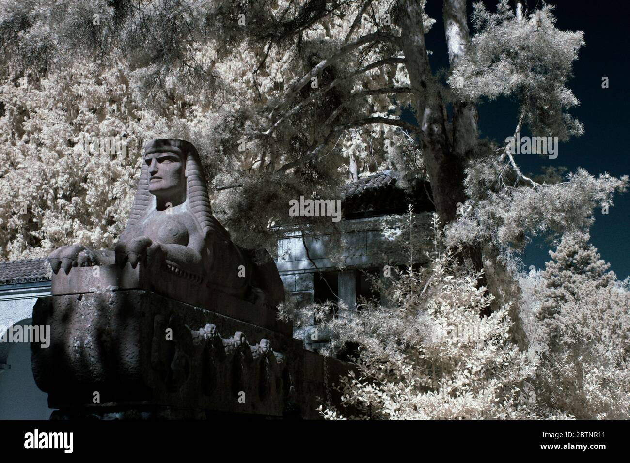 immagine a infrarossi - monumento della sfinge - cimitero di sihlfeld - città di zurigo - svizzera Foto Stock