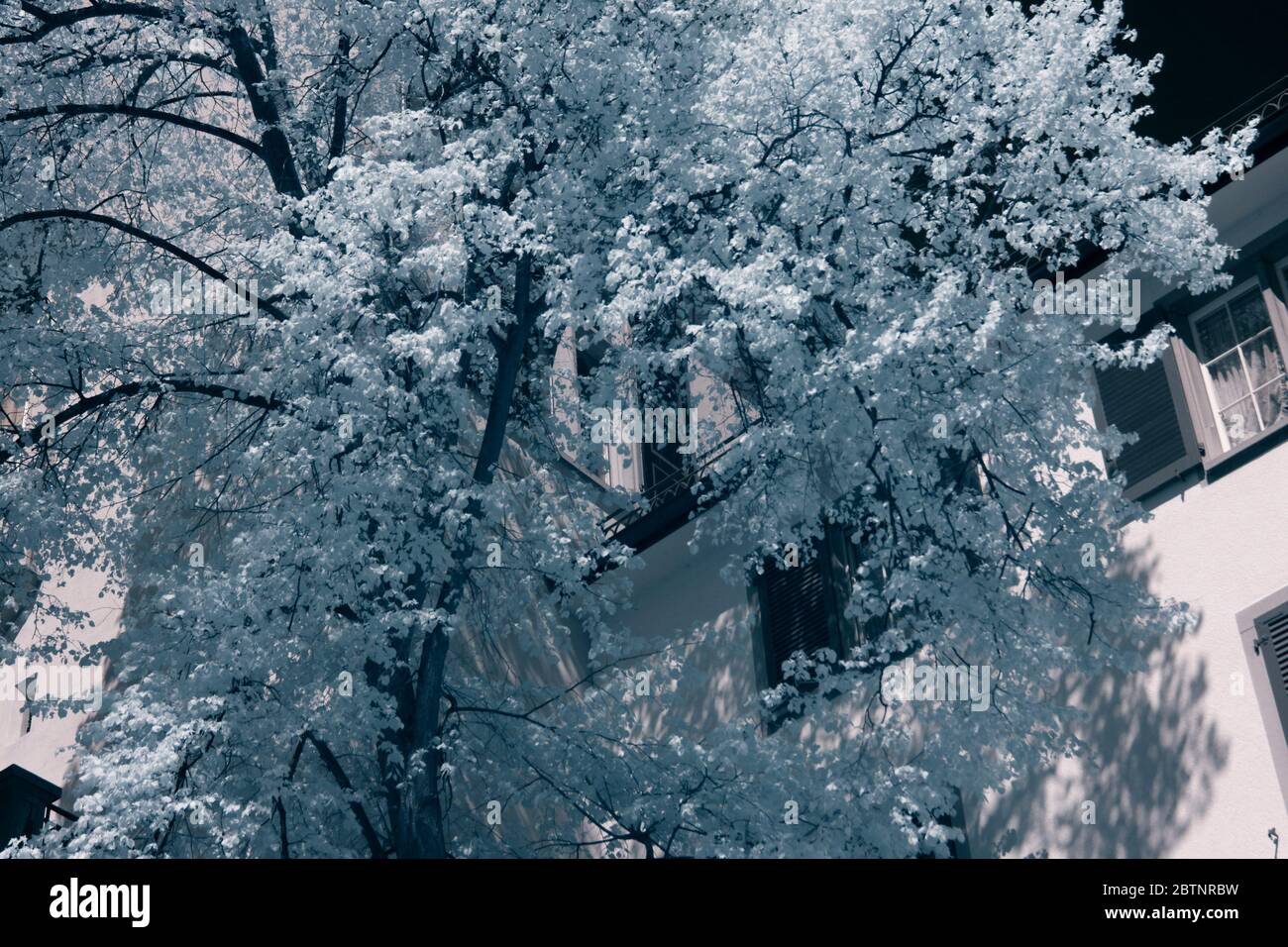 immagine a infrarossi - scenario del centro - città di zurigo - svizzera Foto Stock