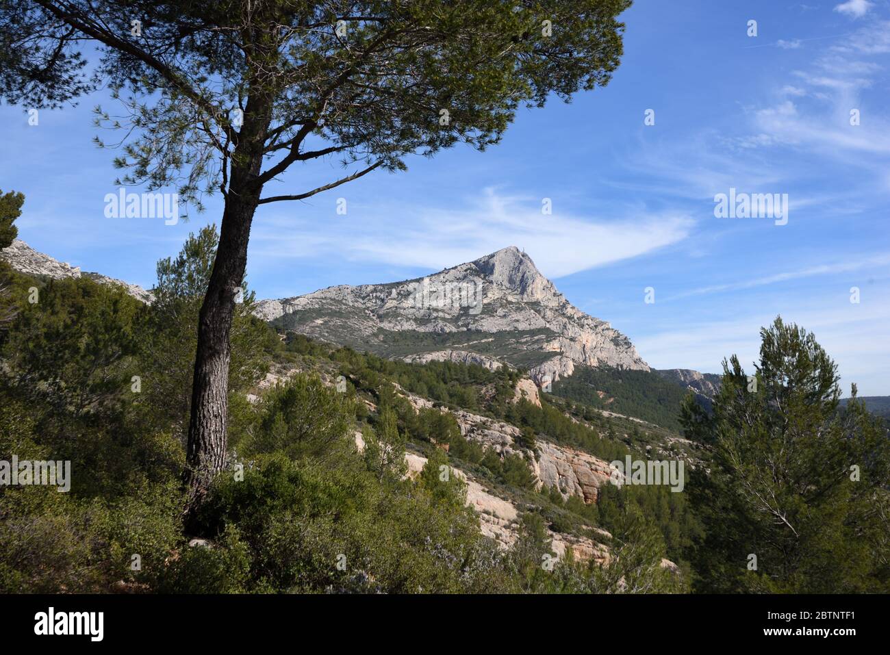 Vista del Monte Sainte-Victoire incorniciato da un pino, immortalato da Paul Cézanne, vicino Aix-en-Provence Provenza Provenza Francia Foto Stock