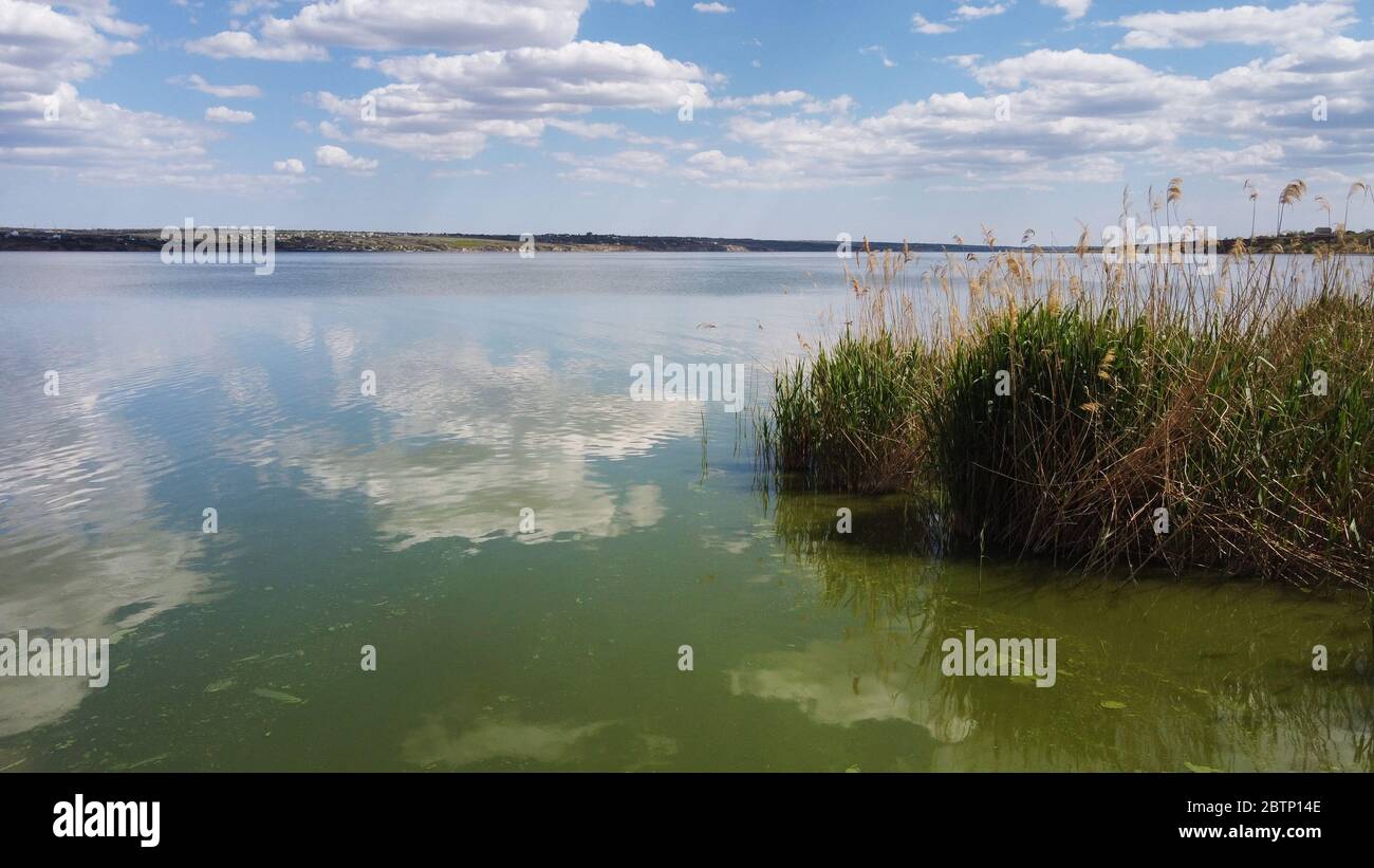 sedge nuvole riflessione in un lago Foto Stock