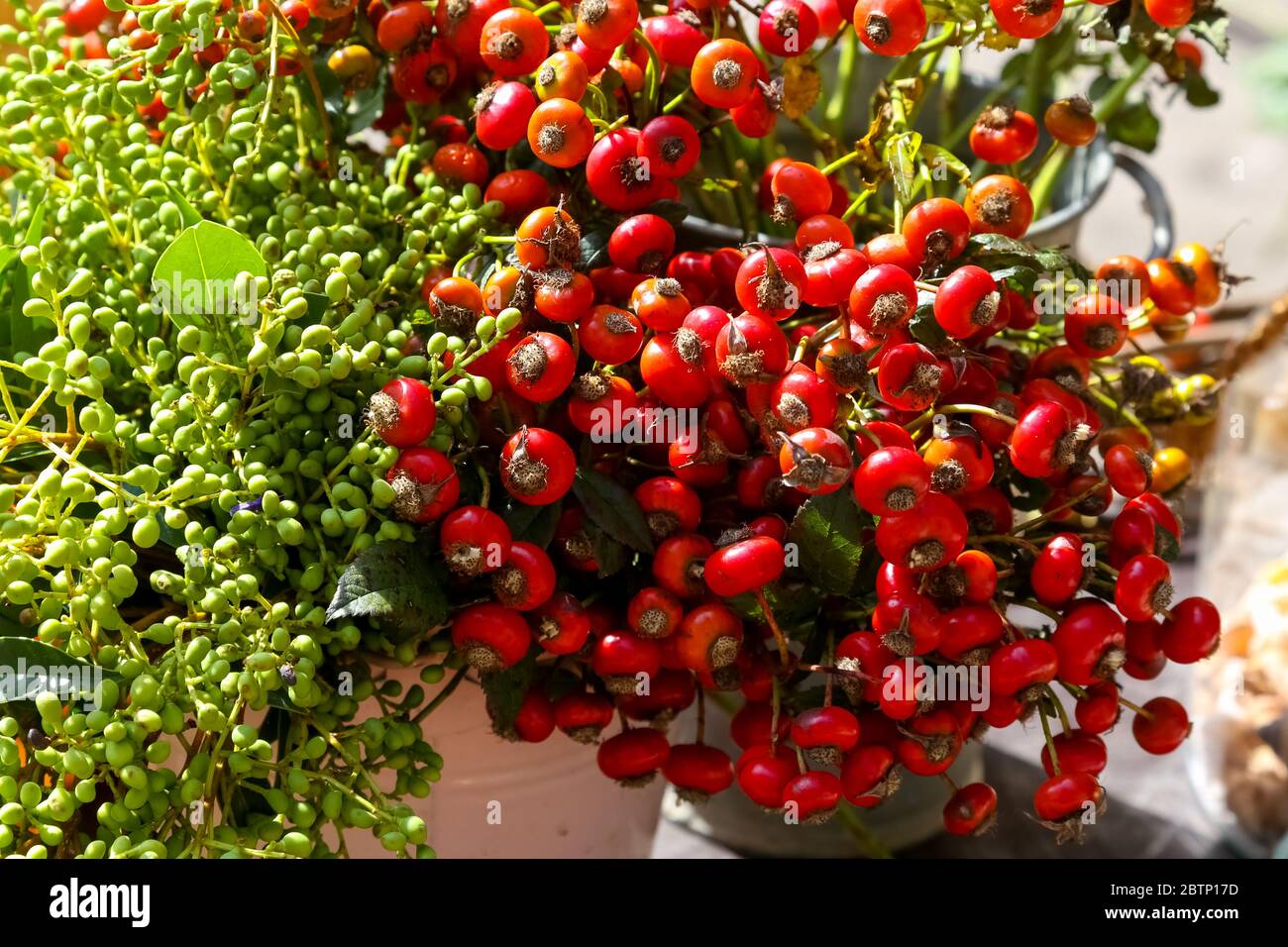 I frutti autunnali sono disposti in due grappoli, uno verde e l'altro rosso. Foto Stock