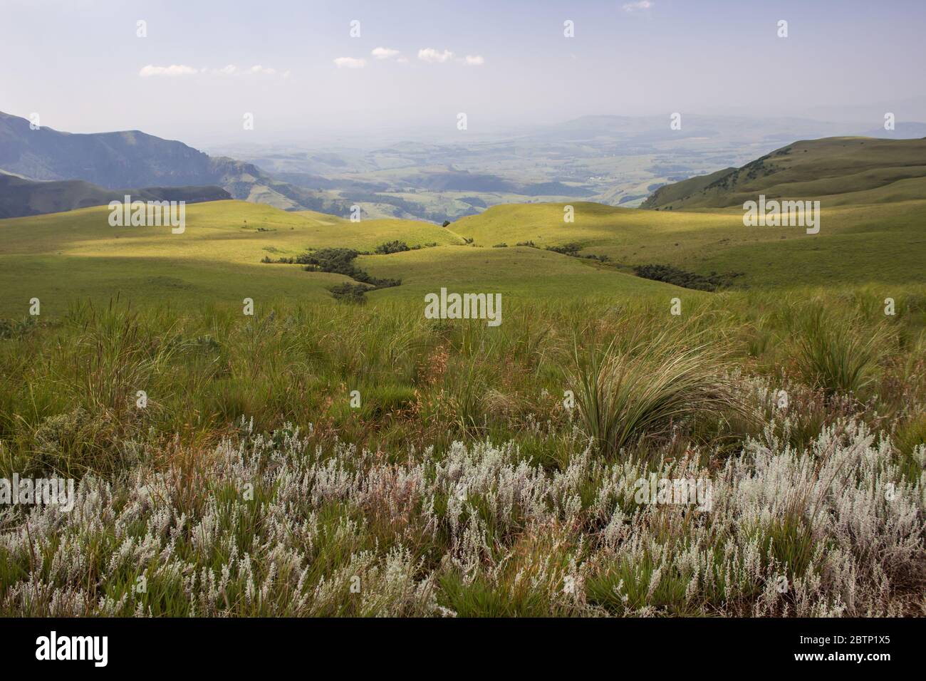 Vista sulla prateria Afroalpina vista dall'angolo dell'uomo cieco nel Drakensberg centrale, in Sud Africa, in una giornata di sole Foto Stock