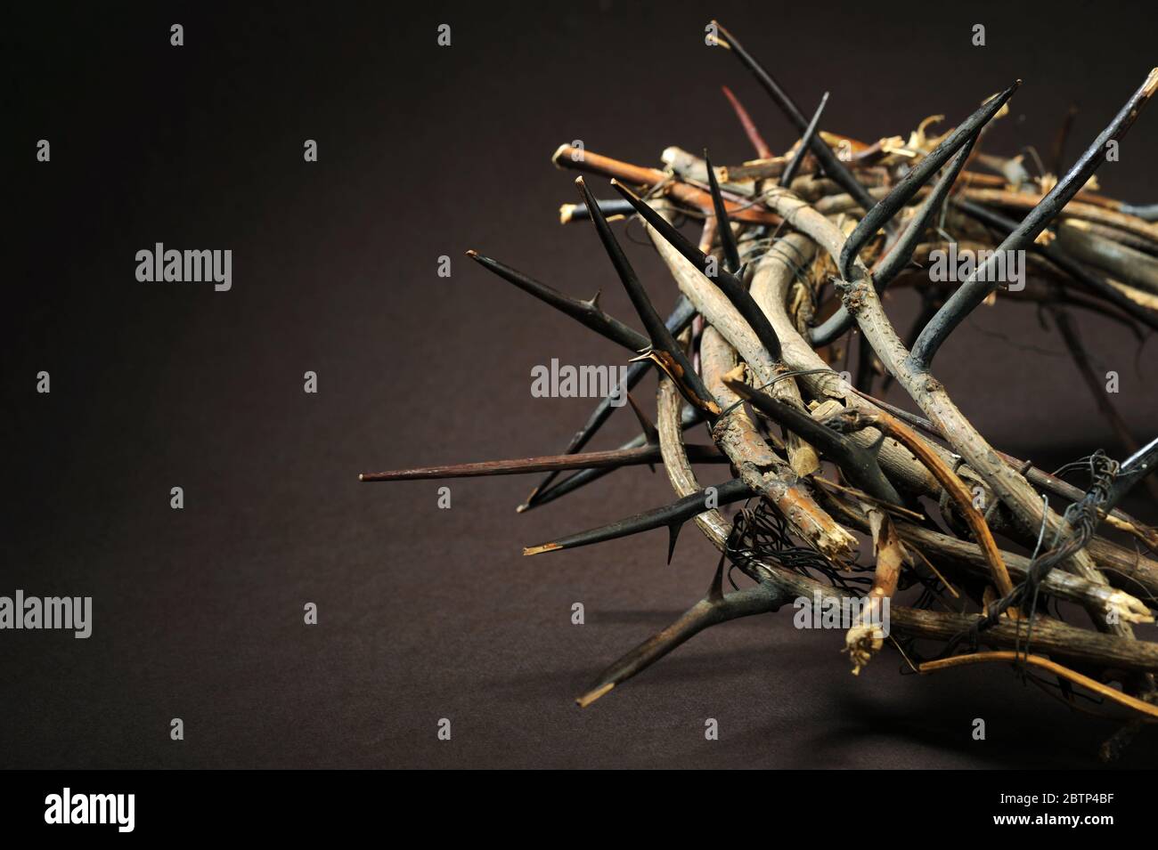 La corona di spine su uno sfondo scuro Foto Stock