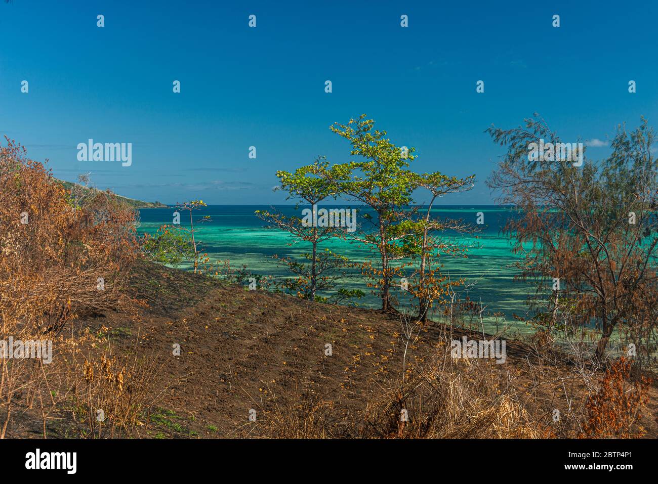 Una superficie libera per l'agricoltura dopo il fuoco, su un'isola tropicale. Oceano turchese sullo sfondo. Foto Stock