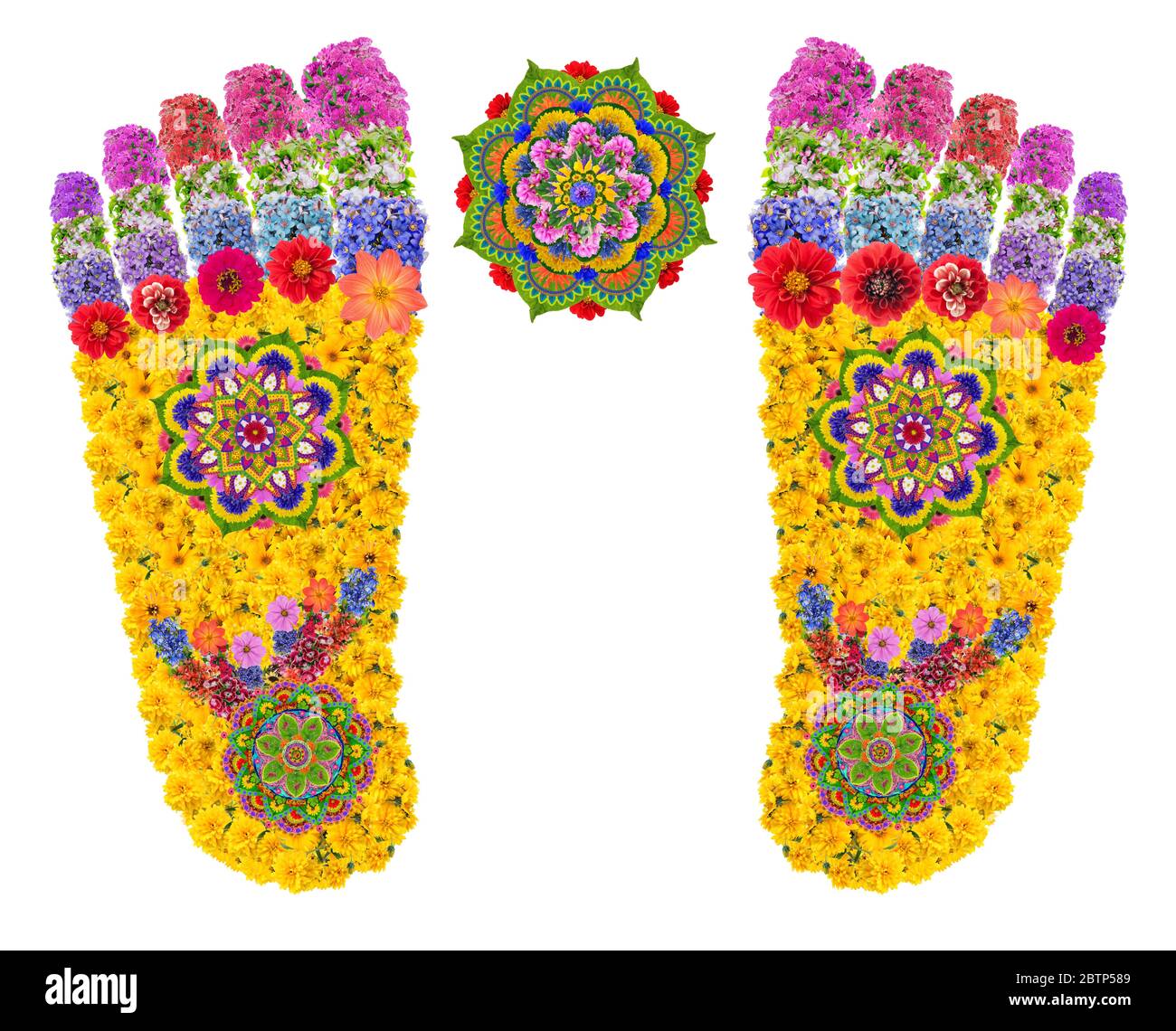 Le impronte dei piedi del Buddha simboleggiano il cammino degli dei e significano una presenza divina o una visita ad una persona Santa. Questa è una traccia di una divinità che un per Foto Stock