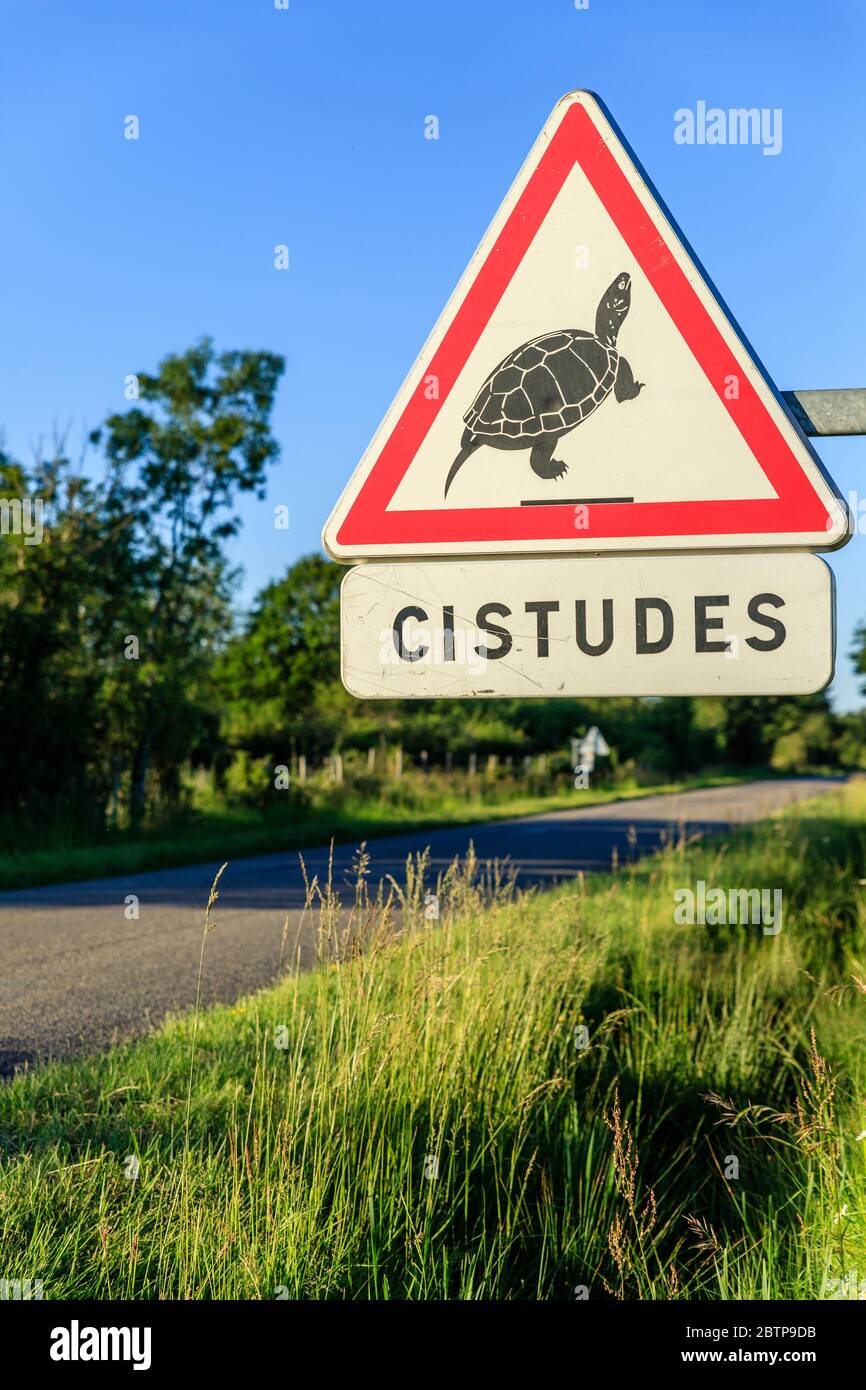 Francia, Indre, Berry, Parco Naturale Regionale del Brenne, Michel en Brenne, cartello stradale pericolo passaggio della tartaruga europea (Emys orbicularis), protezione Foto Stock