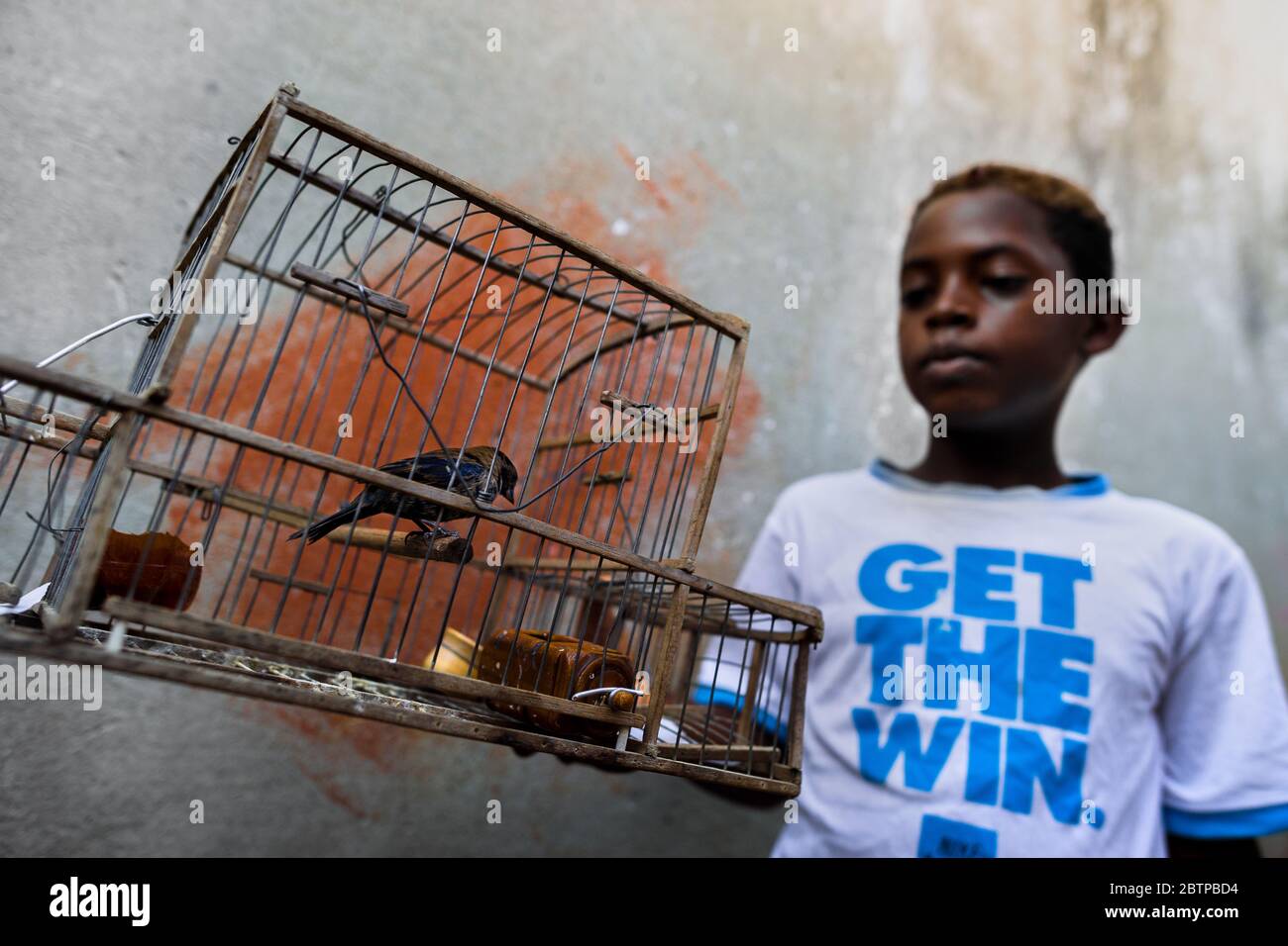 Un ragazzo colombiano tiene una gabbia per uccelli, con un uccello selvatico giovanile all'interno, nel mercato degli uccelli a Cartagena, Colombia. Foto Stock