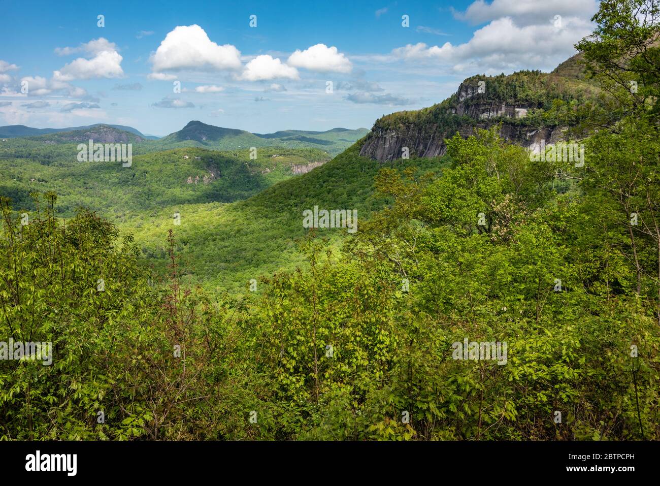 Vista panoramica del Monte Whiteside nella Foresta Nazionale di Nantahala tra Highlands e Cashiers, Carolina del Nord. (STATI UNITI) Foto Stock