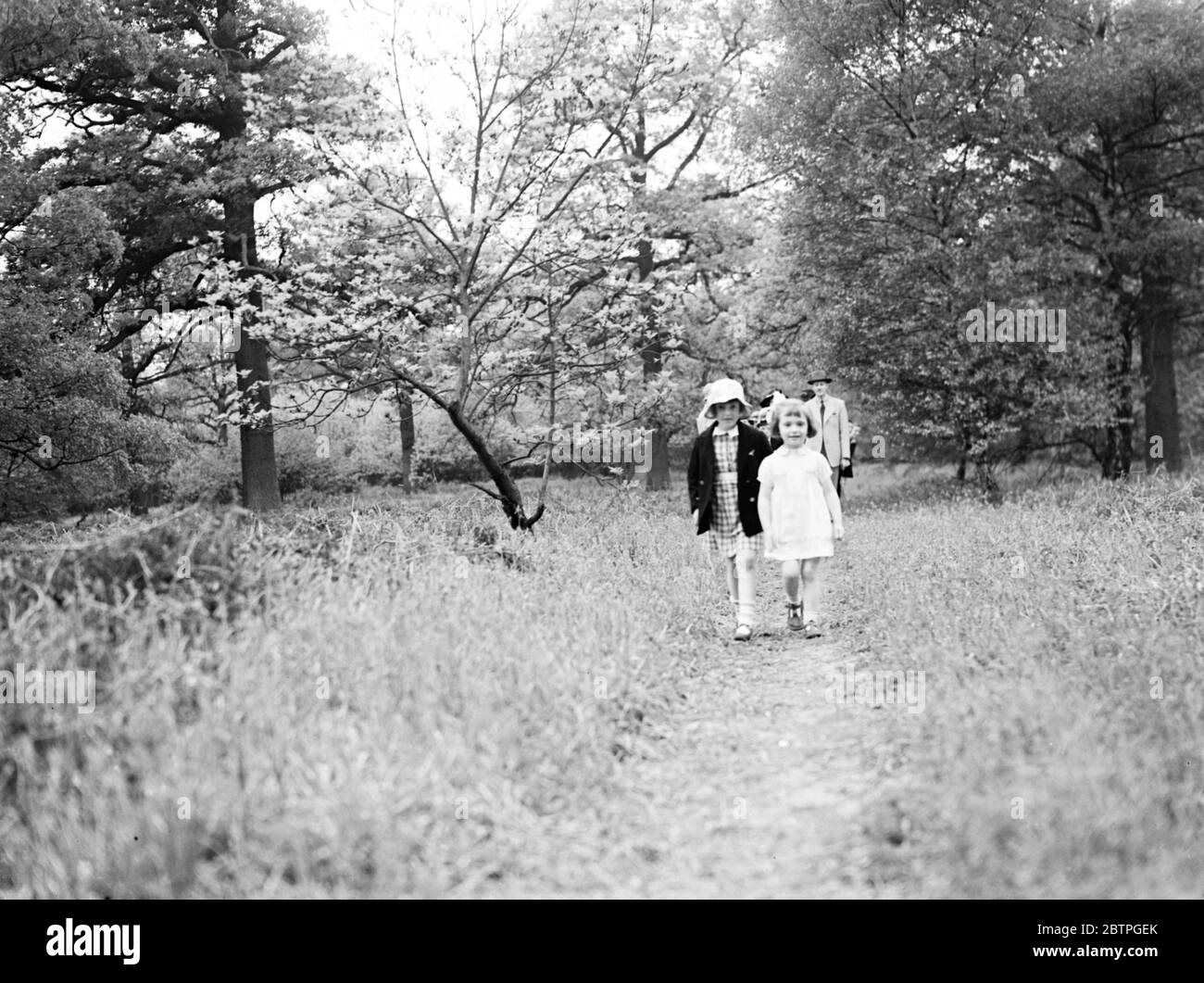 Camminando tra i bluebells. 1936 Foto Stock