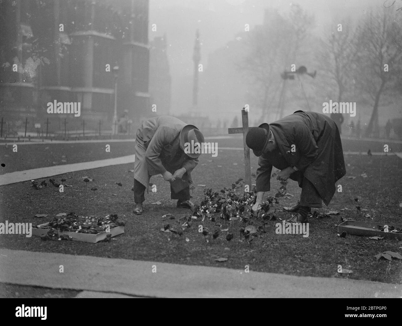 Il campo della rimebranza . Da un'ora in anticipo nella gente del giorno ha visitato il campo della memoria a Westminster per piantare i loro papaveri. Piantare papaveri nel campo della memoria . 11 novembre 1932 Foto Stock