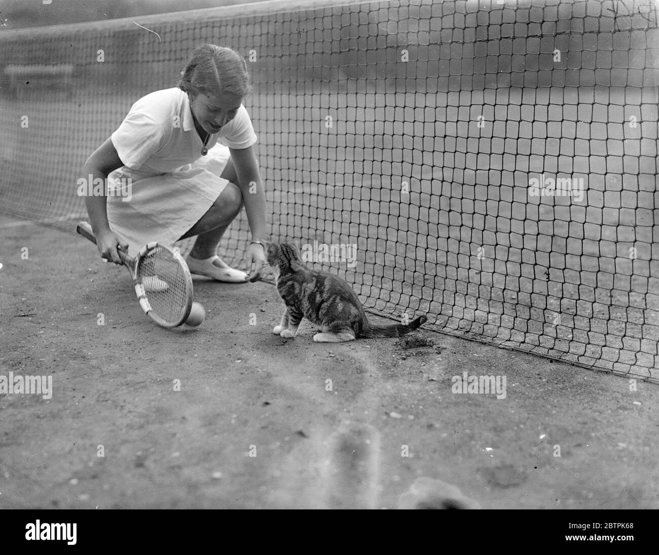 Gatto con ambizioni di tennis . Inseguito la palla di Senorita Lizana . Senorita Anita Lizana giocando con un gatto che ha insistito a inseguire la sua palla quando ha praticato al suo hotel a Putney . 30 marzo 1935 Foto Stock