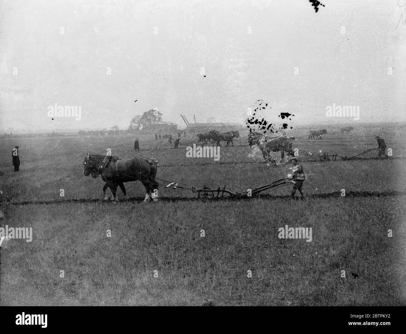 Middlesex aratura corrisponde . L'inizio della partita di aratura del cavallo . 24 settembre 1935 Foto Stock
