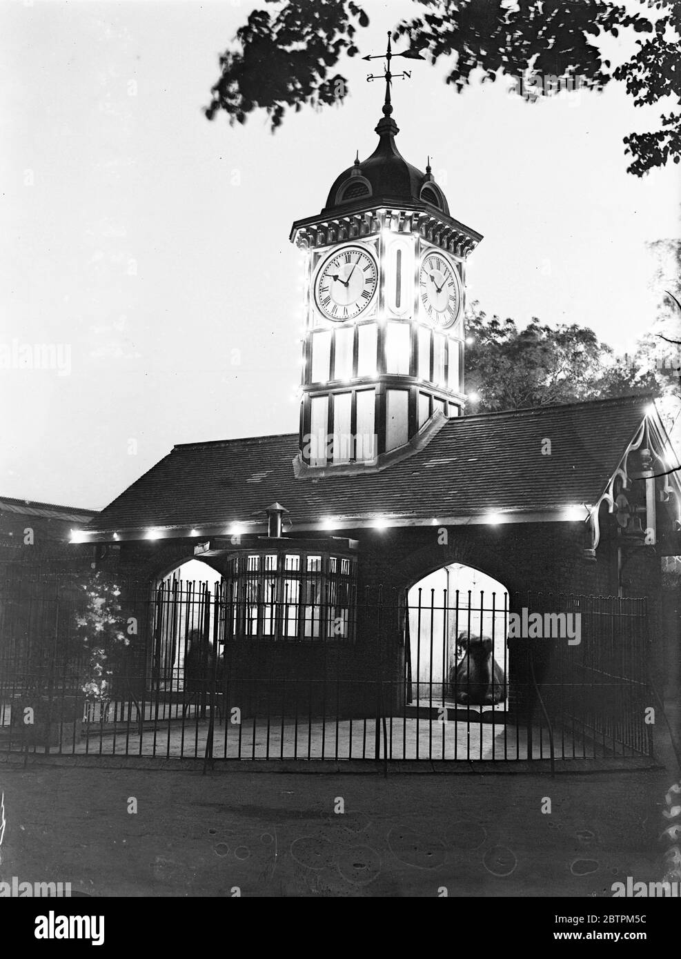 Lo zoo sotto i flodlight . Summer Night Resort per londinesi. Da stasera ( Mercoledì ) , lo Zoo di Londra illuminato è aperto al pubblico . Regolarmente durante tutta l'estate, lo Zoo sara' mantenuto aperto fino alle 11 in modo che i visitatori possano guardare gli animali sotto i riflettori mentre la musica da ballo fa un piacevole sfondo alla fiera. Foto : i cammelli sotto i proiettori al test finale del sistema . 3 Jun 1936 Foto Stock