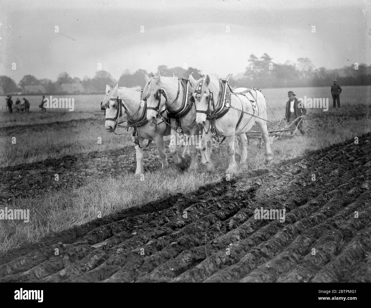 Aratura Middlesex . Inizio della partita di aratura principale . 24 settembre 1935 Foto Stock