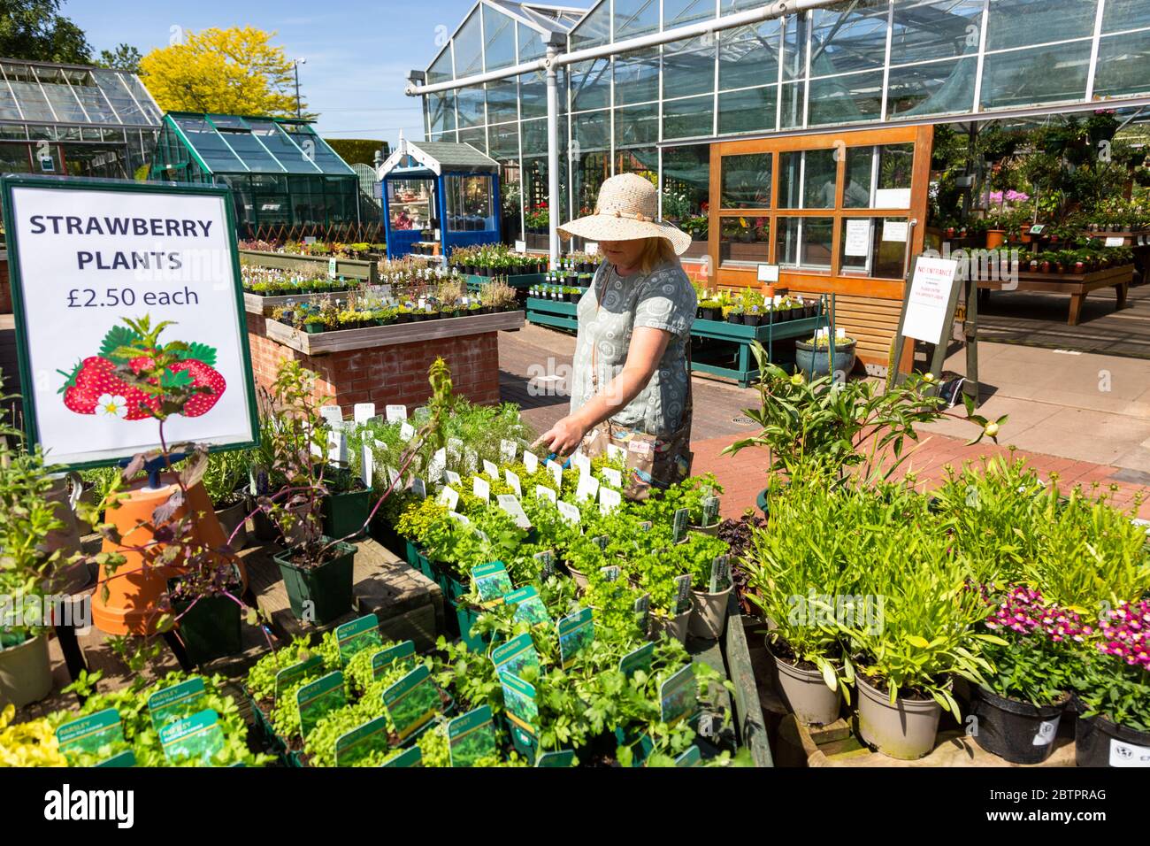 Una donna che naviga in un giardino inglese centro esterno esposizione Foto Stock