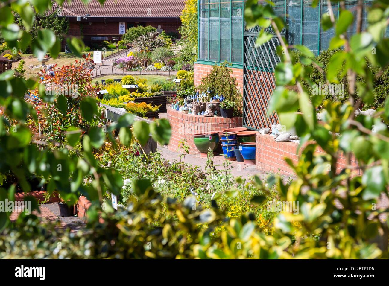 Un centro giardino britannico con una varietà di piante in vendita in esposizione Foto Stock