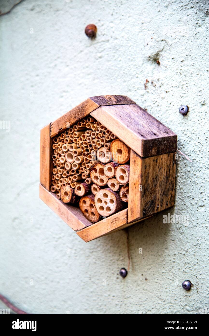 Primo piano di un hotel esagonale bug, casa Be, rifugio per insetti (Londra, Regno Unito) Foto Stock