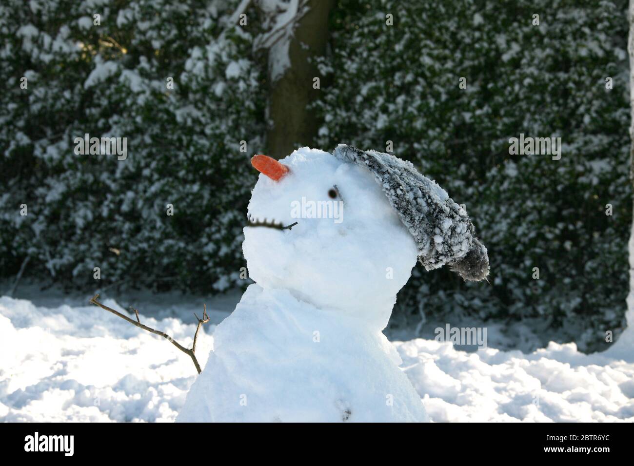 Contea di Sussex in inverno Foto Stock