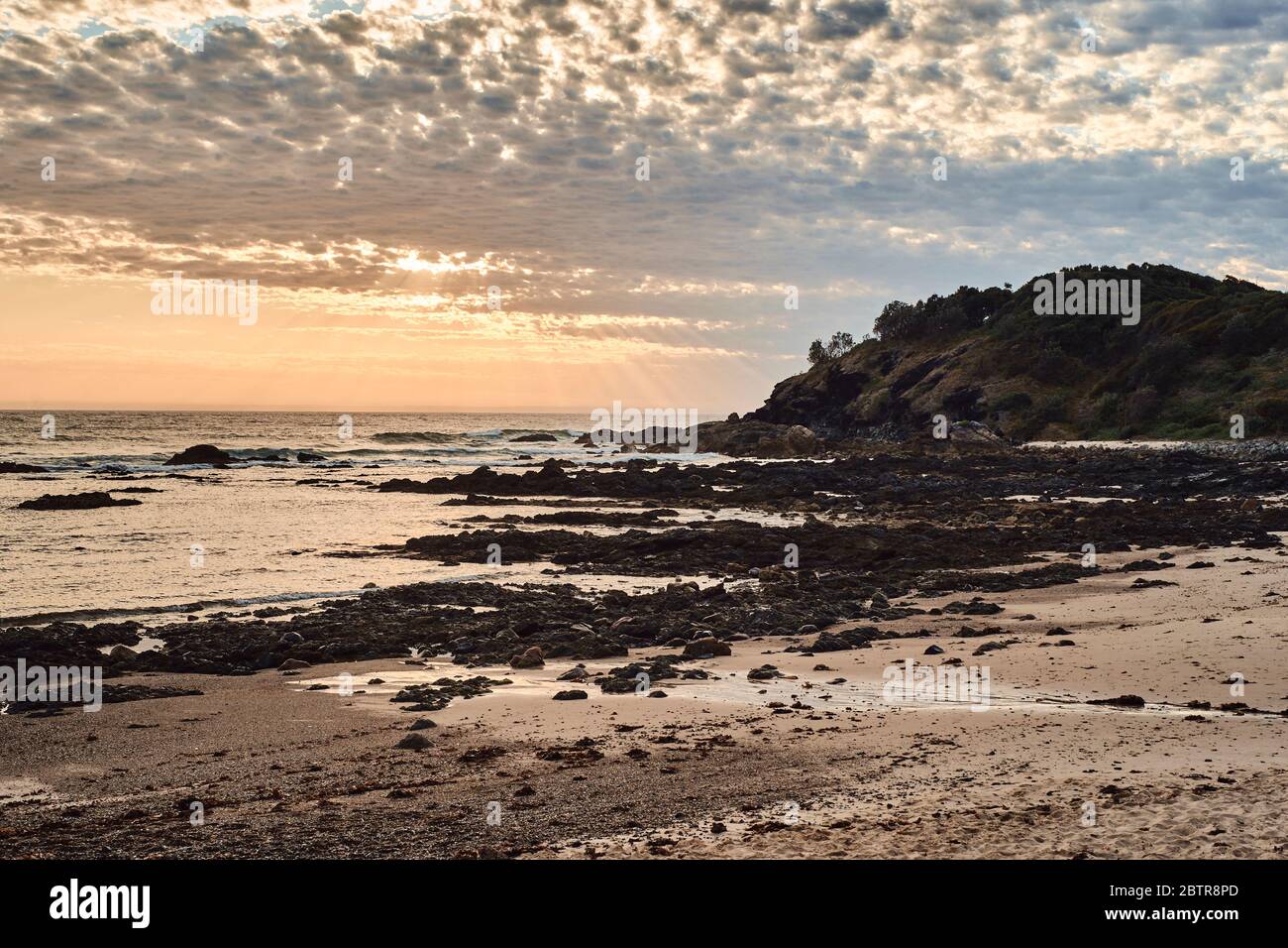 Una luce mattutina sulla barriera corallina presso la Shelly Beach a Port Macquarie, NSW, Australia, durante una bassa marea Foto Stock