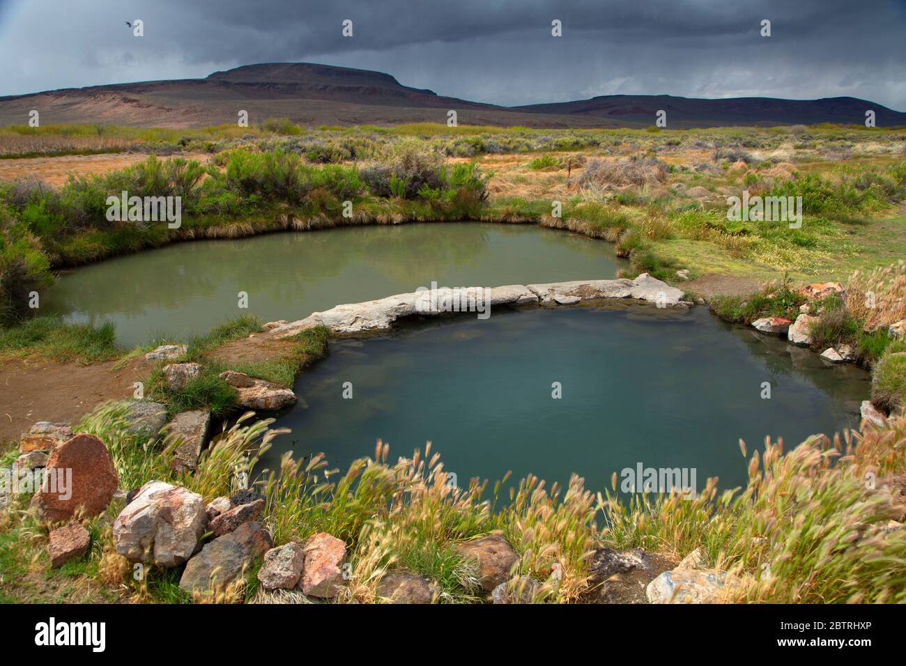 Willow Creek Hot Springs, vale District Bureau of Land Management, Oregon Foto Stock