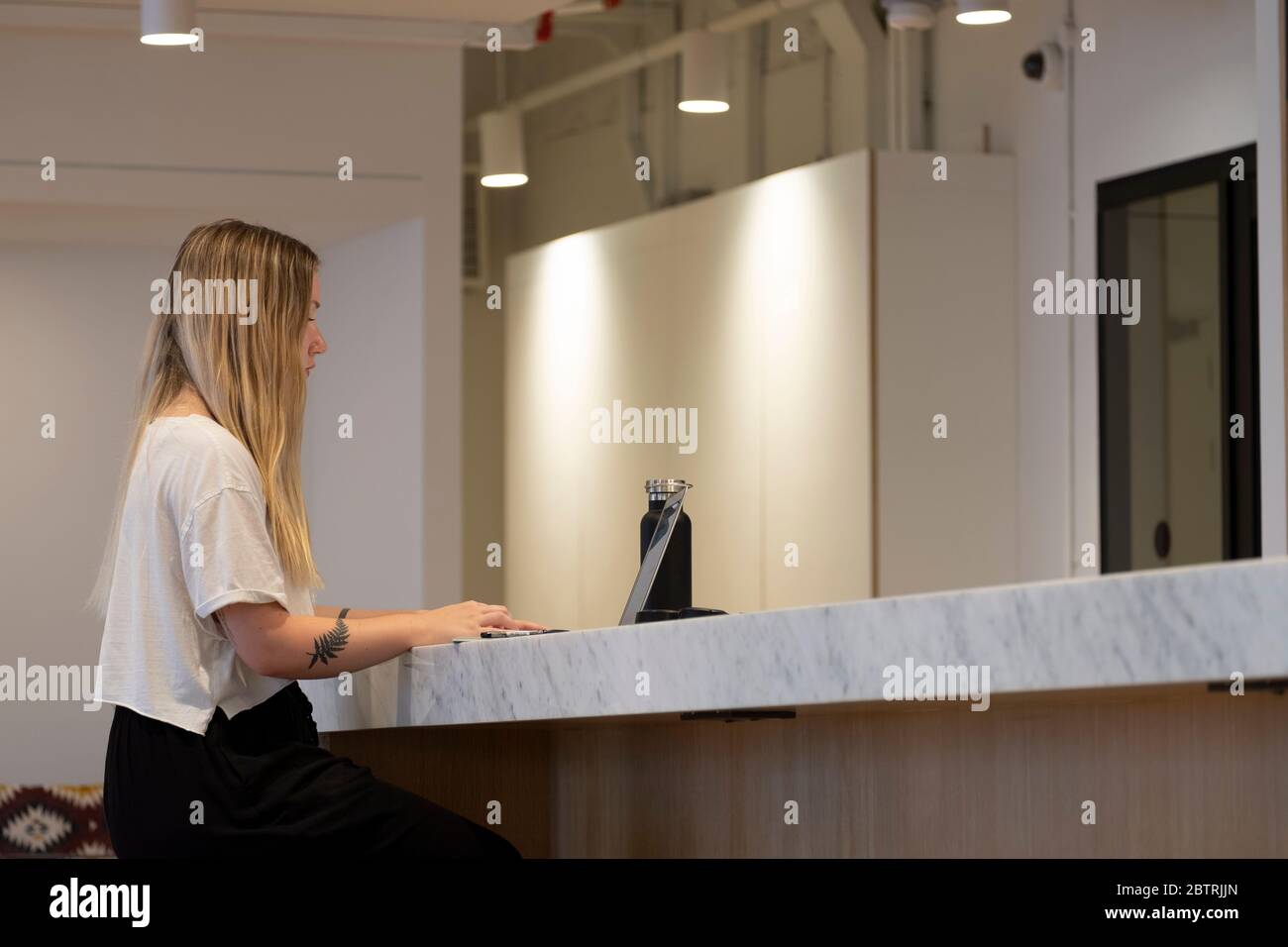 Una giovane donna che lavora su un computer portatile in uno spazio di lavoro contemporaneo Foto Stock