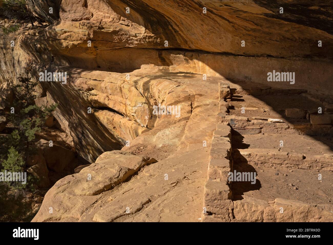 CO00262-00...COLORADO - Fondazioni di antiche strutture in un'alcova lungo il percorso Petroglyph Point Trail nel Parco Nazionale di Mesa Verde. Foto Stock