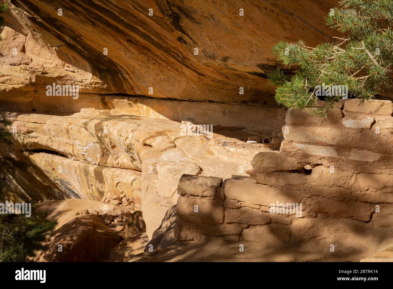 CO00263-00...COLORADO - Fondazioni di antiche strutture in un'alcova lungo il percorso Petroglyph Point Trail nel Parco Nazionale di Mesa Verde. Foto Stock